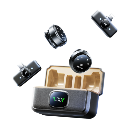 REMAX - مايك احترافي بشاشة رقميه  K22