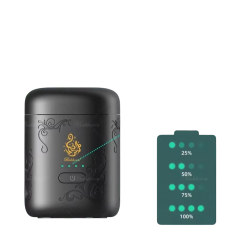 Bukhoon - مبخرة كهربائية صغيرة للسيارة والمنزل اسود 